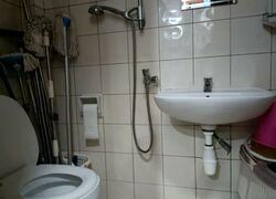 Carissa Park Condominium (D17), Condominium #566438661